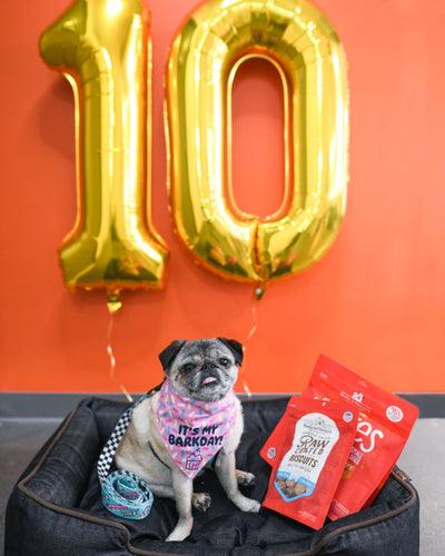 Momo Monday: 10 Things I Love About P.L.A.Y.!