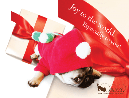 Happy Holidays From Momo!