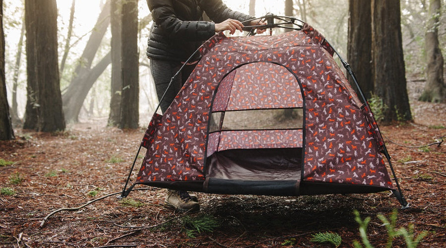 Great Dane Growth And Weight Chart: All You Need To Know