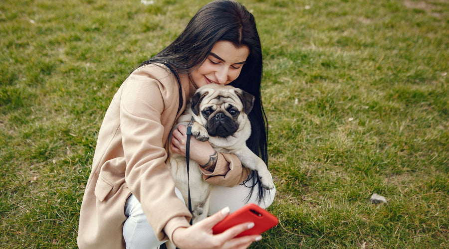 Tips and Tricks for Getting the Perfect Dog Selfie