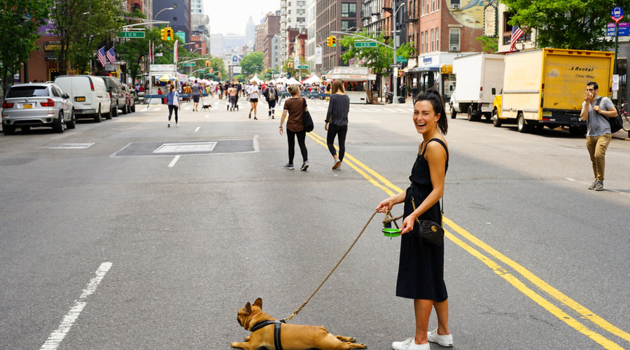 Things to Carry if You Want to Travel With Your Pet