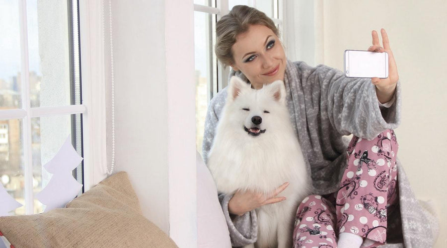 5 Ideas For Celebrating Valentine’s Day With Your Pet