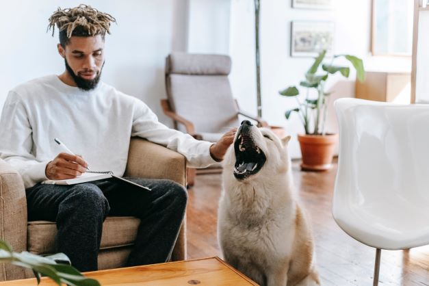 Tips for Welcoming a New Pet While Starting a Business