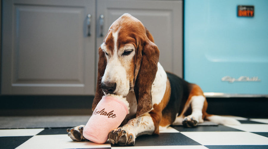 Tips To Help You Clean up Your Pets Mess