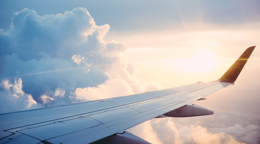 5 Things Not to Forget When You're Flying with a Dog
