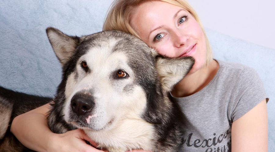 How to Care for Your Aging Dog