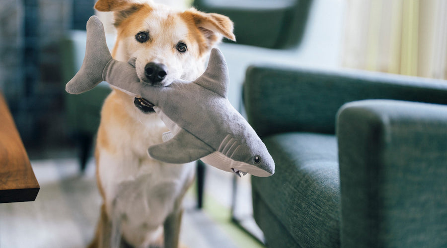 Make Waves with Play Pet Brands and Saving the Blue