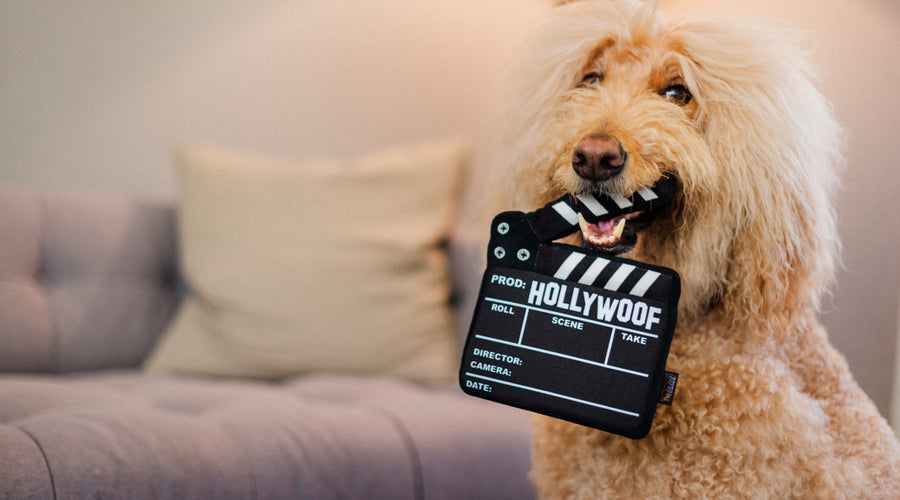 A Look at Some of The Best Dog Commercials in History