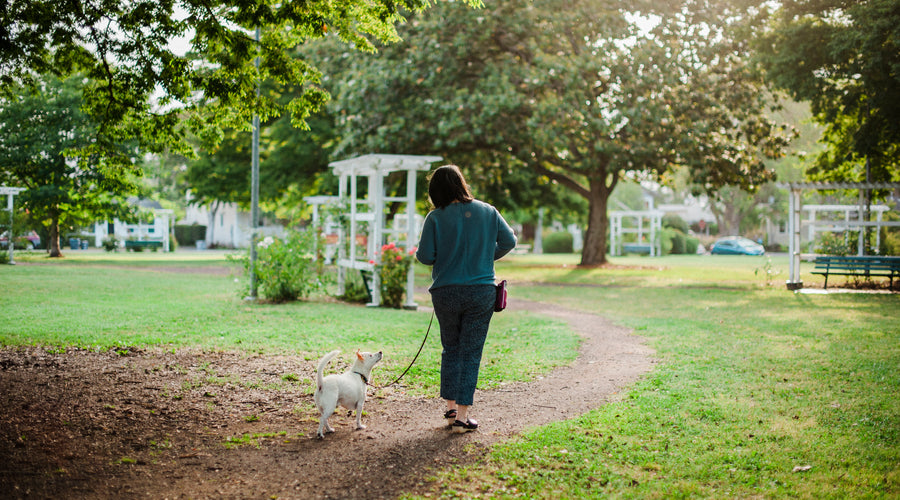 Addressing the Health Benefits (and Drawbacks) of Dog Ownership