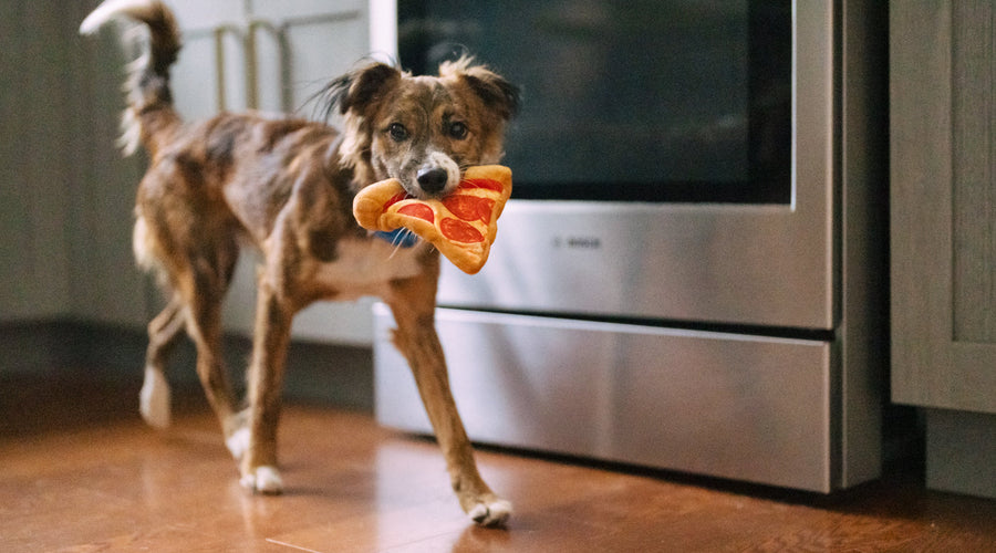 Pet Hair Can Be Ruff on Appliances