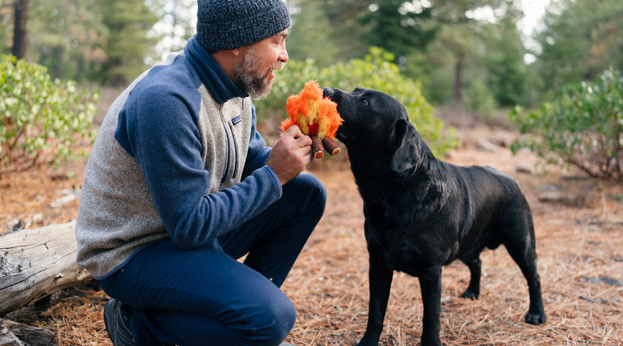 Keeping Pets Safe Around Fire Pits