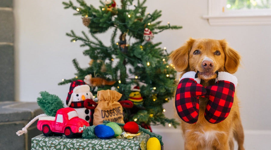 Best DIY Christmas Outfits for Families with Dogs