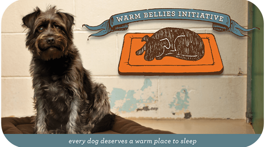 We're Kicking Off National Pet Month with a #WarmBellies Twitter Party!