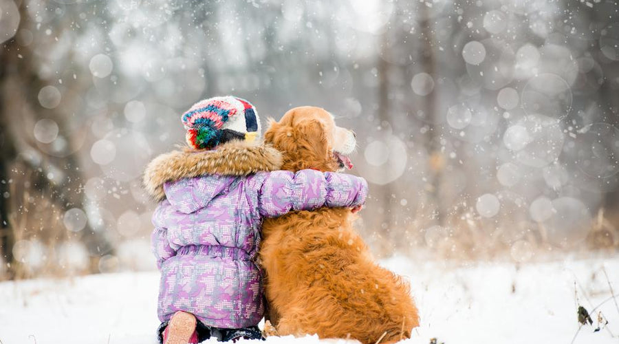 Canine Cabin Fever: 9 Ways to Keep Your Dog Happy This Winter!