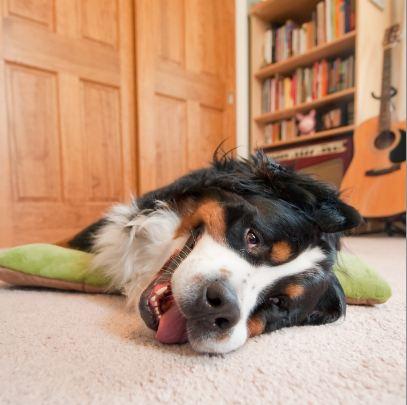 Wordless Wednesday: Chill out!