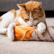 Load image into Gallery viewer, Cat playing with the Feline Frenzy Fog City Pet x P.L.A.Y. Fur-mented Loaf Kicker Toy on a carpeted floor.
