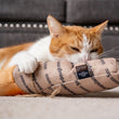 Load image into Gallery viewer, Ginger cat hugging the Feline Frenzy Fog City Pet x P.L.A.Y. Fur-mented Loaf Kicker Toy with front paws with an amusing look on its face

