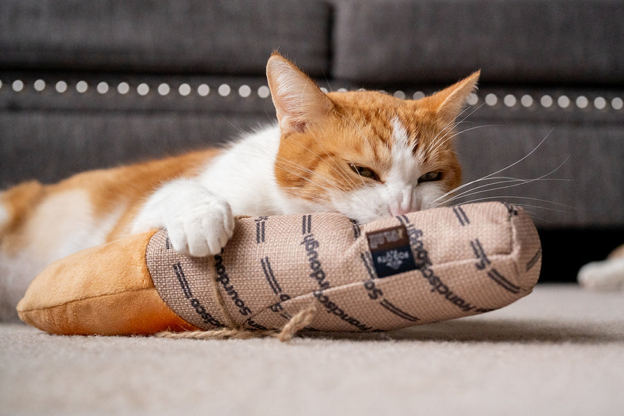 Fur-mented Loaf Cat Kicker Toy - Fog City Pet x Play – Play Pet Brands