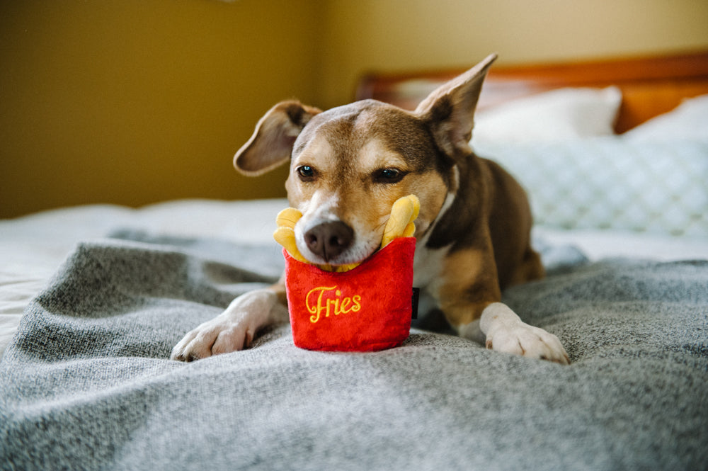 Frenchie Fries: Squeaky Toy by Play Pet Brands
