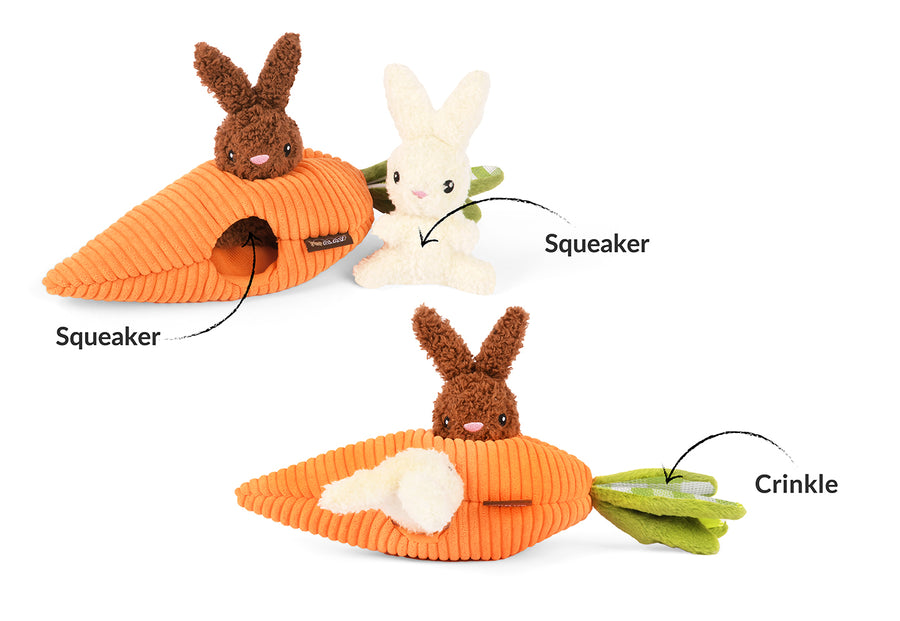 Funny Bunnies Dog Toy by Play Pet Brands