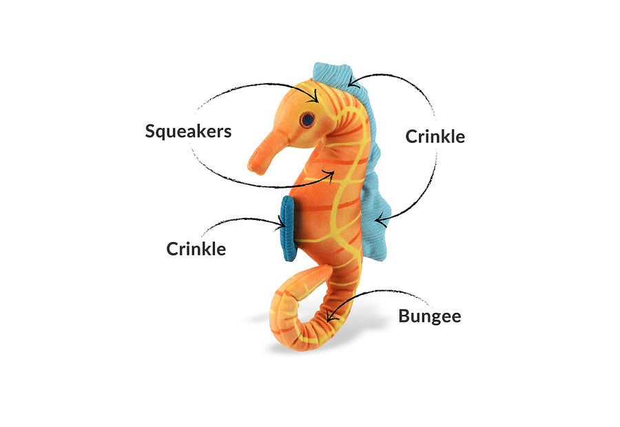 Ocean Buddies 5 Plush Dog Toy Collection by Play – Play Pet Brands