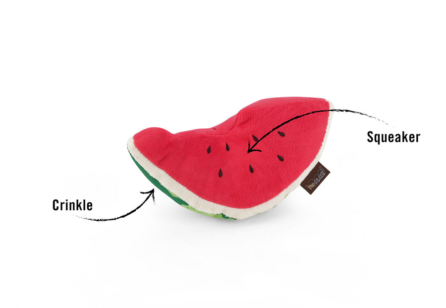 Wagging Watermelon: Play Pet Brands Plush Dog Toy