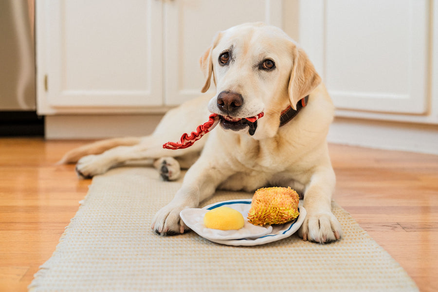 IHOP x Play Pet Brands Breakfast Sampler Bundle: Dog Toy Collab