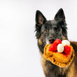 Load image into Gallery viewer, IHOP x P.L.A.Y. Thick 'N Fluffy French Toast  - fluffy brown dog holding the toy in its mouth staring into camera with ears perked up
