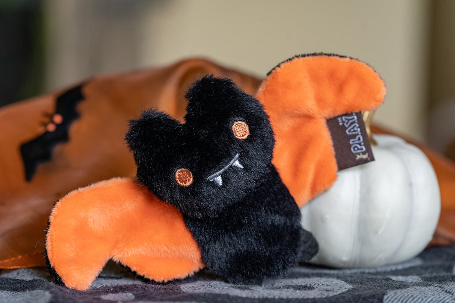 Creepy Critters Cat Toy by Play Pet Brands