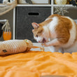 Load image into Gallery viewer, P.L.A.Y. Feline Frenzy Halloween Kicker Toy - Meow-my string unraveled and being bitten by ginger kitty
