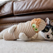 Load image into Gallery viewer, P.L.A.Y. Feline Frenzy Halloween Kicker Toy - Meow-my in paws of black and white kitty laying on the floor
