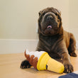 Load image into Gallery viewer, P.L.A.Y. Snack Attack Collection - Swirls n' Slobbers Soft Serve Toy in between a wrinkly dog's paws sitting on the wood floor looking at camera with tounge out
