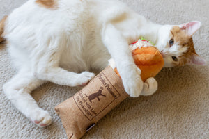 Tuna Sandwich Cat Toy by Play Pet Brands