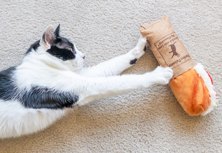 Tuna Sandwich Cat Toy by Play Pet Brands