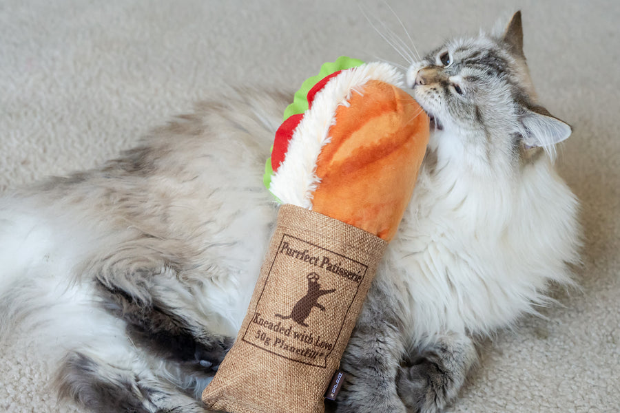 Tuna Sandwich Cat Toy by Play Pet Brands