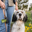 Load image into Gallery viewer, Proper Pup Poop Bag Dispensers from P.L.A.Y. - Denim on Napoli Leash with human and white dog in the middle of a flower field
