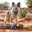 Load image into Gallery viewer, P.L.A.Y.'s Big Five of Africa Toy Set - toys at the feet of a mutil-colored dog on the red rocks of Utah
