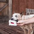 Load image into Gallery viewer, P.L.A.Y. Howling Haunts Collection - Barky's Bite Toy in dog's mouth with dog dad assisting outside on a barnwood deck
