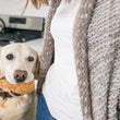 Load image into Gallery viewer, P.L.A.Y. American Classic Fluffy's Fried Chicken Toy - in yellow lab's mouth in kitchen standing next to dog mom
