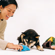 Load image into Gallery viewer, Camp Corbin Collection by P.L.A.Y. Trailblazing Tent Toy - dog mom playing with blue sleeping bag on floor with small dog
