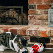 Load image into Gallery viewer, A black and white tabby cat lies on a wooden floor in front of a brick fireplace, chewing on a Feline Frenzy Jolly Nutcracker Kicker Toy.
