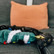 Load image into Gallery viewer, A black cat lies on a dark gray couch, playfully biting a Feline Frenzy O Christmas Tree kicker toy with white trim and a gold-colored feather inside its mouth. An orange throw pillow is visible in the background.

