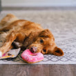 Load image into Gallery viewer, A golden retriever dog lies on a patterned area rug, holding a Play Pup Cup Cafe Doughboy Donut Toy, a pink donut-shaped plush toy, in its mouth.
