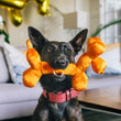 Load image into Gallery viewer, Dog holding the Play’s Party Animal Balloon Buddy in its mouth in a living room wearing a red collar
