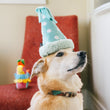 Load image into Gallery viewer, Dog wearing Play’s Party Animal Yappy Party Hat - a turquoise dog party hat-shaped toy on its head while sitting i front of an orange/red chair indoors
