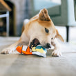 Load image into Gallery viewer, Dog playing with Play’s Ocean Buddies Reef Retreat dog toy on a carpeted floor trying to bite one of the fish.
