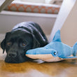 Load image into Gallery viewer, Black dog lying next to Play’s Ocean Buddies Bonk the Hammerhead, a blue shark-shaped dog toy, on a wooden floor.
