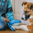 Load image into Gallery viewer, Dog mom and dog interacting with a Play's Ocean Buddies Big Blue and Baby Blue whale toys on a wooden floor.
