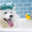 Load image into Gallery viewer, P.L.A.Y. Splish Splash Collection - Shower cap toy on fluffy white dog in bathtime with tounge out happy
