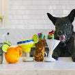 Load image into Gallery viewer, P.L.A.Y. Barktender Collection - Beautiful black dog with paws on counter starring at the five cocktail-themed toys
